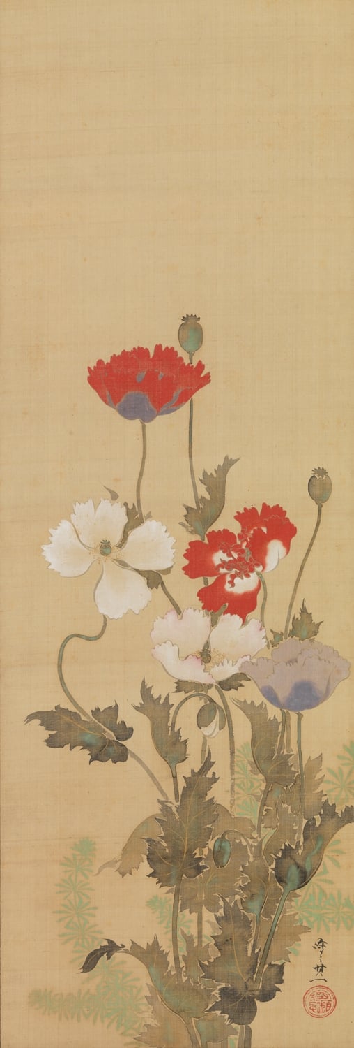 其他 - 罂粟花图 - 多彩罂粟绽放于画中 