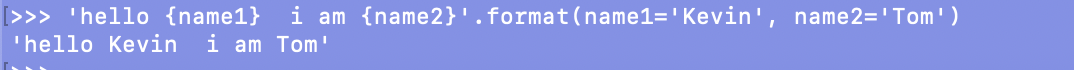 格式化format指定参数名字