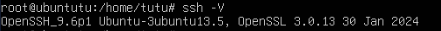 ssh版本号