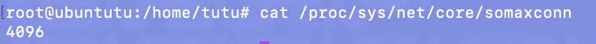 somaxconn最大的监听队列的长度