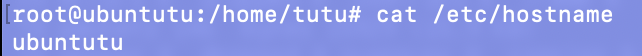 查看主机名