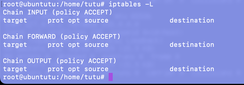 iptables -L