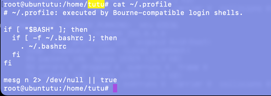 cat ~/.profile