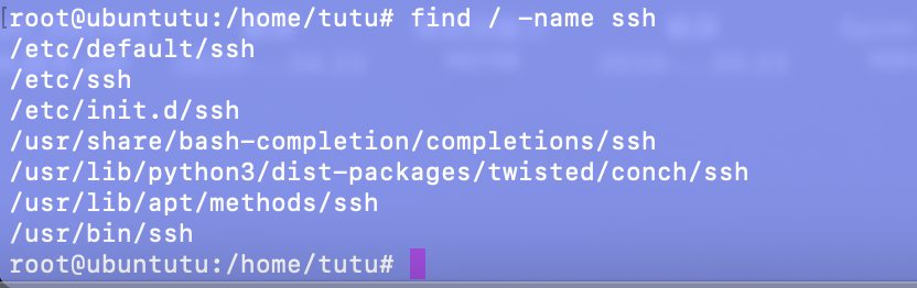 find / -name ssh