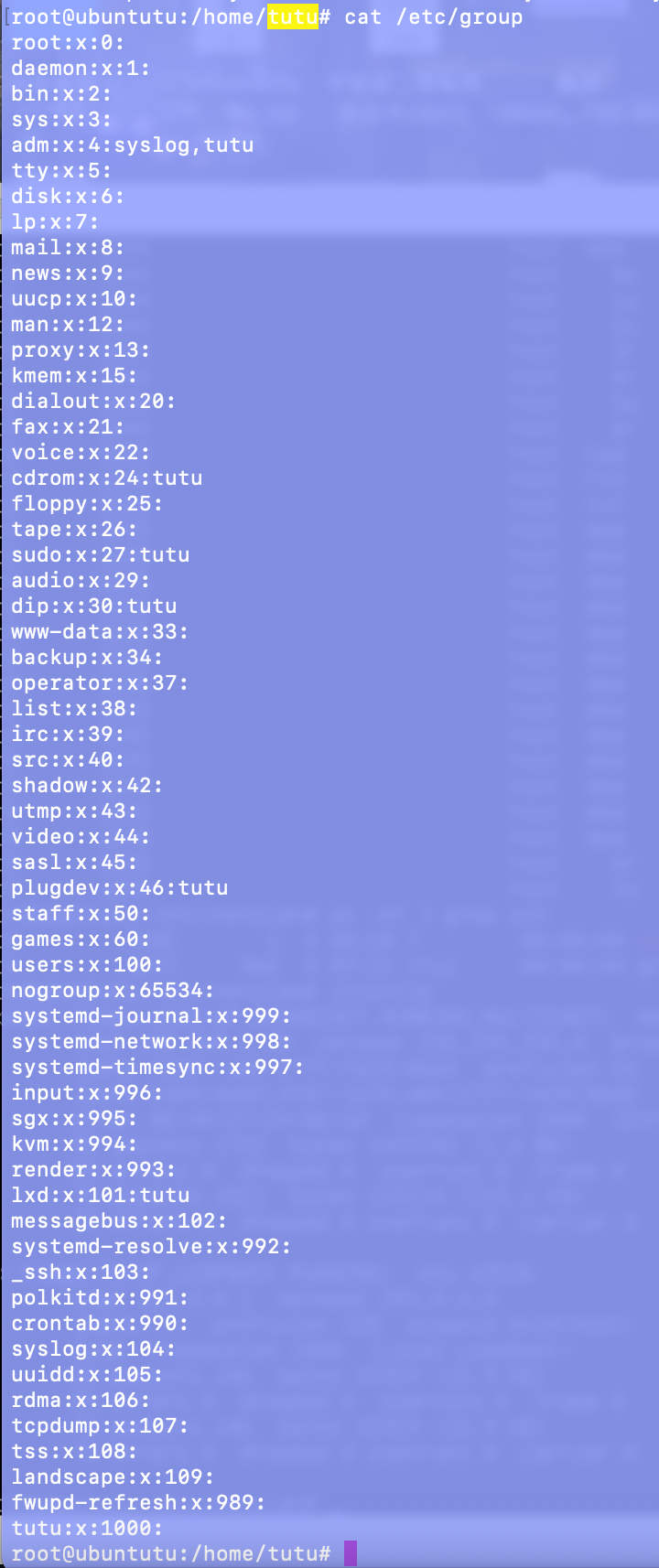 cat /etc/group