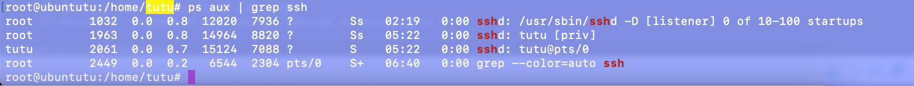 ps aux | grep ssh