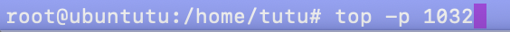 top命令 top命令