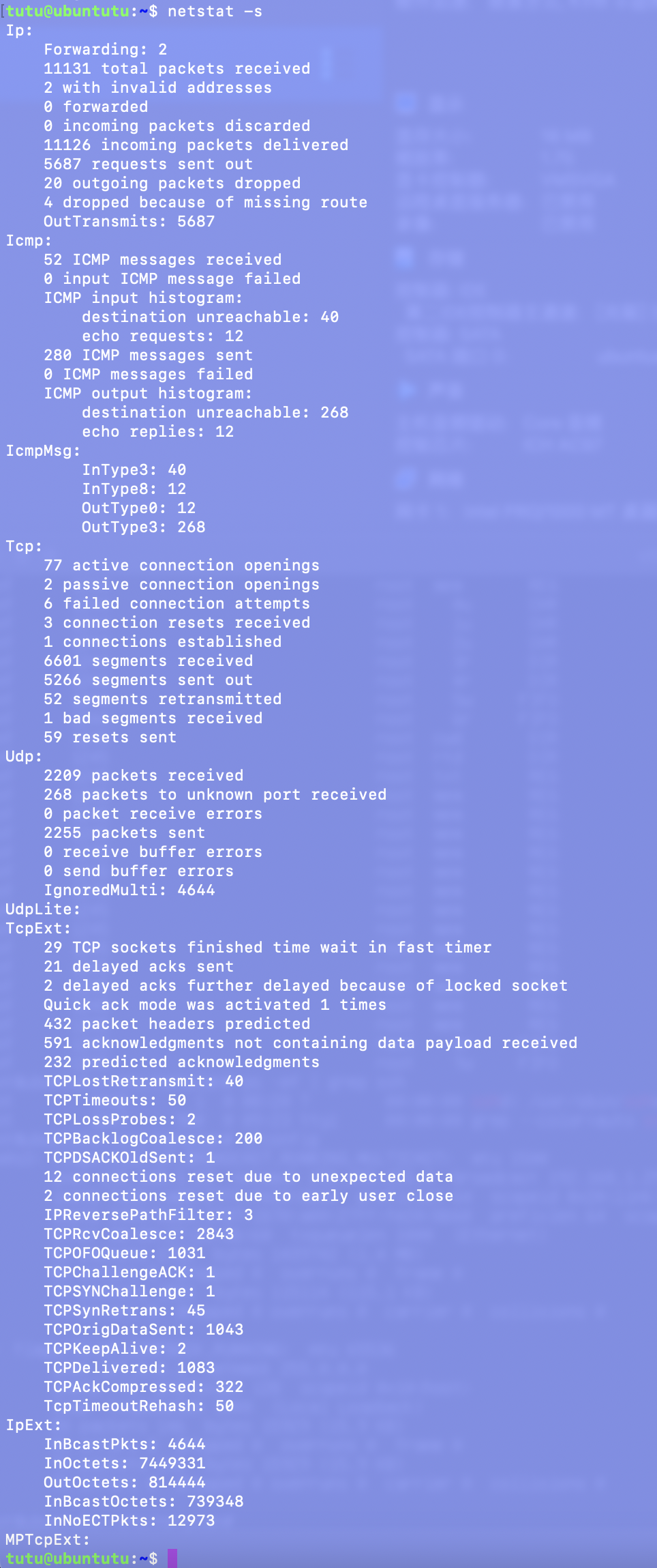 netstat -s netstat -s